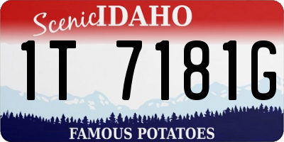 ID license plate 1T7181G