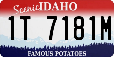 ID license plate 1T7181M