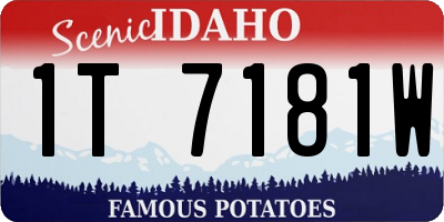ID license plate 1T7181W