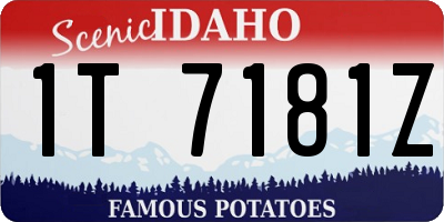 ID license plate 1T7181Z