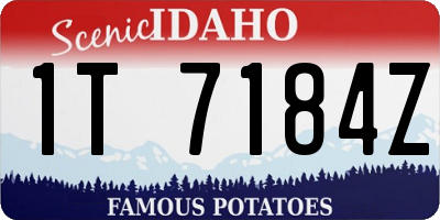 ID license plate 1T7184Z
