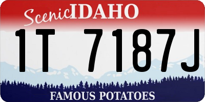 ID license plate 1T7187J