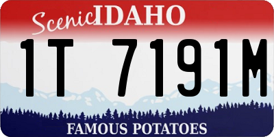 ID license plate 1T7191M