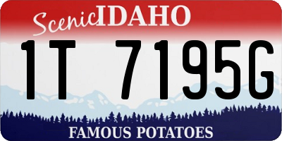 ID license plate 1T7195G