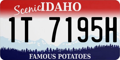 ID license plate 1T7195H