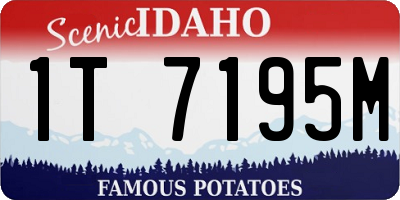 ID license plate 1T7195M