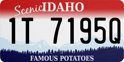 ID license plate 1T7195Q