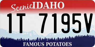 ID license plate 1T7195V