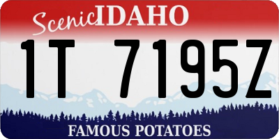 ID license plate 1T7195Z