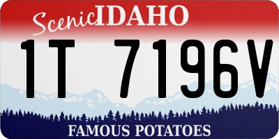 ID license plate 1T7196V