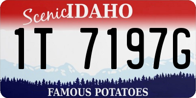 ID license plate 1T7197G