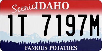 ID license plate 1T7197M