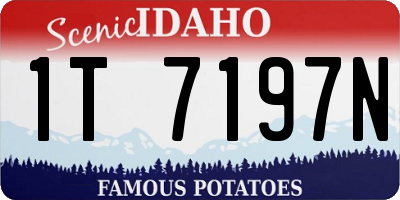 ID license plate 1T7197N