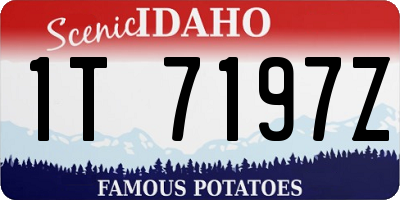 ID license plate 1T7197Z