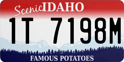 ID license plate 1T7198M