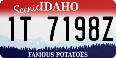 ID license plate 1T7198Z