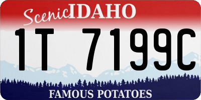 ID license plate 1T7199C
