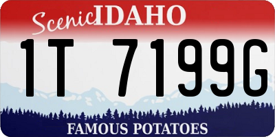 ID license plate 1T7199G