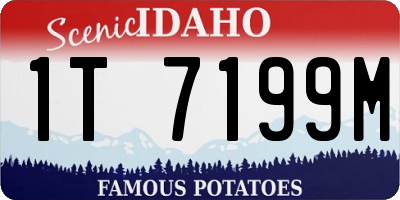 ID license plate 1T7199M