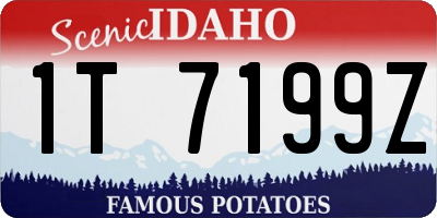 ID license plate 1T7199Z
