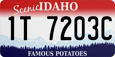 ID license plate 1T7203C