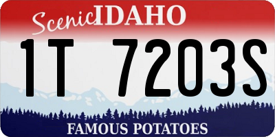 ID license plate 1T7203S