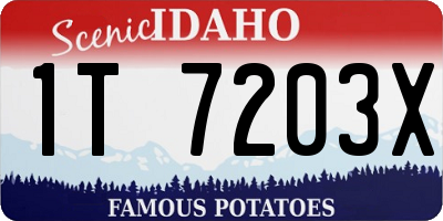 ID license plate 1T7203X