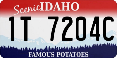 ID license plate 1T7204C