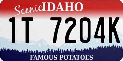 ID license plate 1T7204K