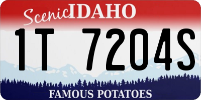 ID license plate 1T7204S