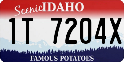 ID license plate 1T7204X
