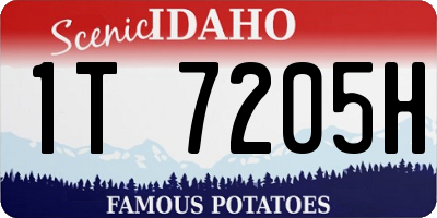 ID license plate 1T7205H