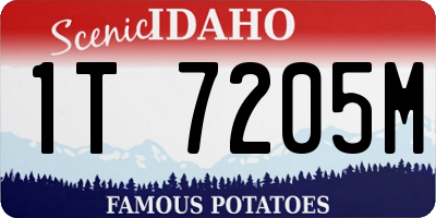 ID license plate 1T7205M