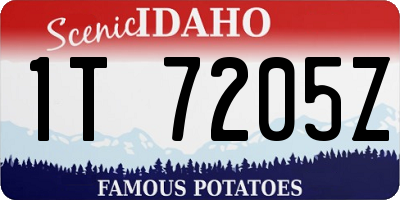 ID license plate 1T7205Z