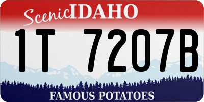 ID license plate 1T7207B