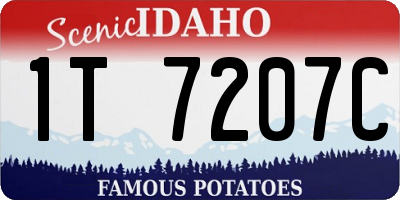 ID license plate 1T7207C