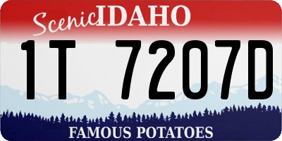 ID license plate 1T7207D