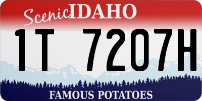 ID license plate 1T7207H