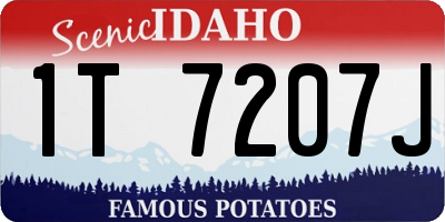 ID license plate 1T7207J