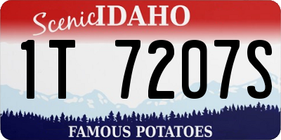 ID license plate 1T7207S