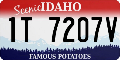 ID license plate 1T7207V