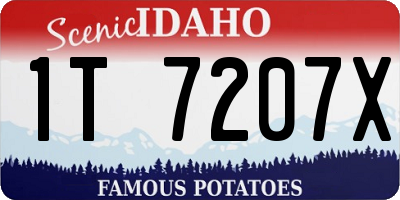 ID license plate 1T7207X