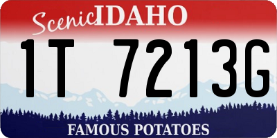 ID license plate 1T7213G