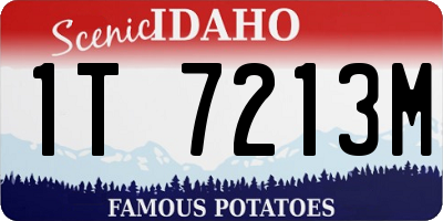 ID license plate 1T7213M