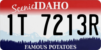 ID license plate 1T7213R
