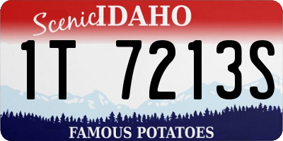 ID license plate 1T7213S