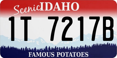 ID license plate 1T7217B