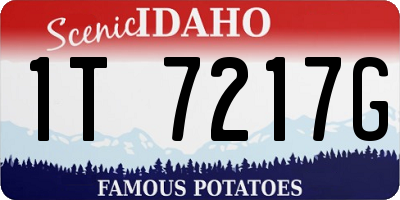 ID license plate 1T7217G