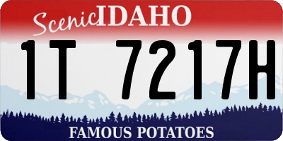 ID license plate 1T7217H
