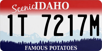 ID license plate 1T7217M